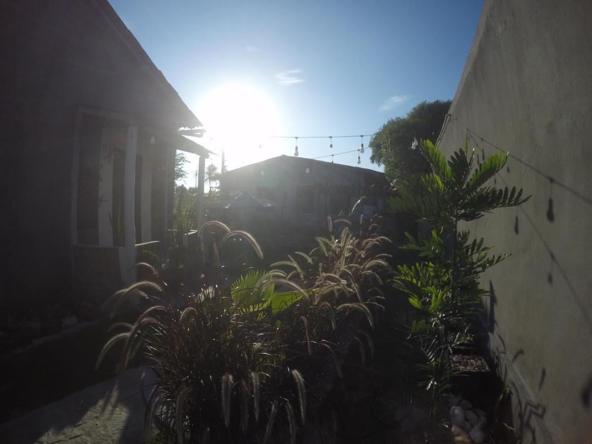 Tiny Home Garden Bananeiras Ngoại thất bức ảnh